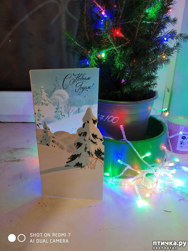 ���� 8: ���������-����������� ����!