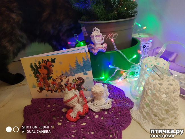 ���� 2: ��� ����������� ��� �����