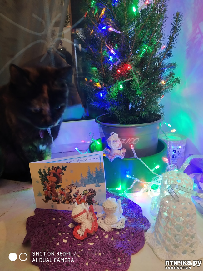 ���� 3: ��� ����������� ��� �����