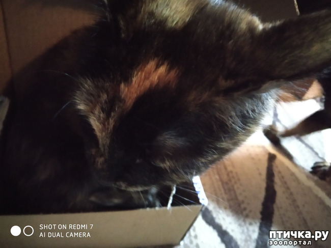 ���� 6: ��� ����������� ��� �����