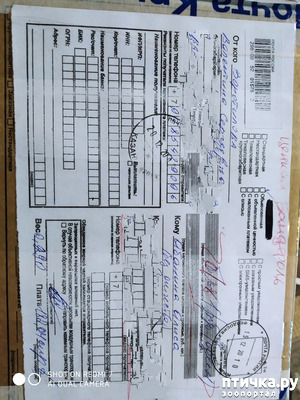 ����: ��� ����������� ��� �����