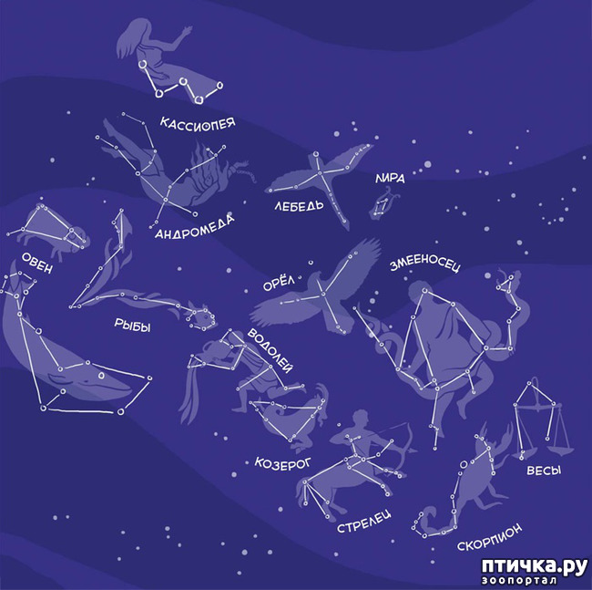 ���� 1: ��������