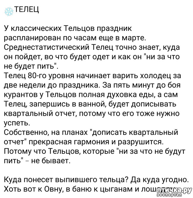 ���� 3: ��������