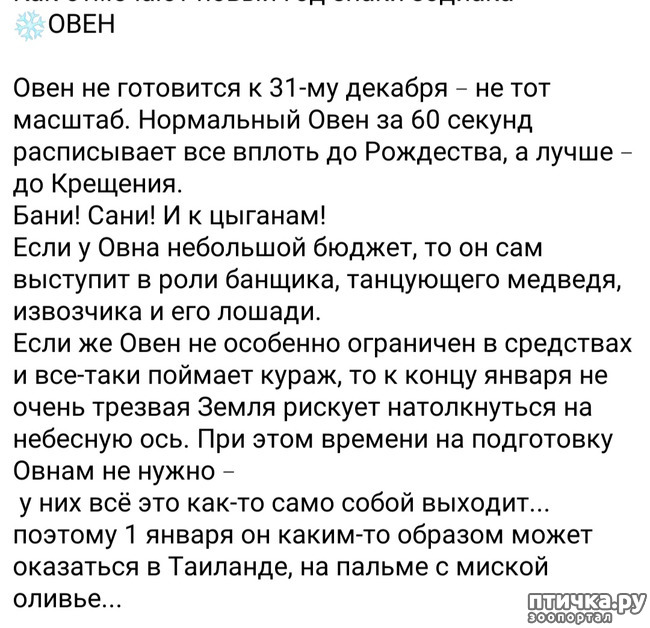 ���� 2: ��������