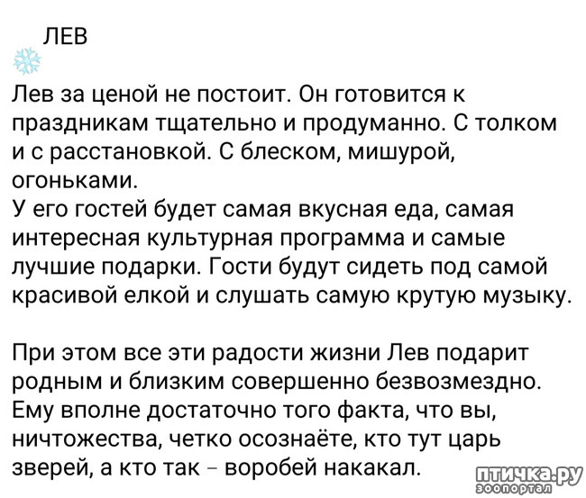 ���� 6: ��������