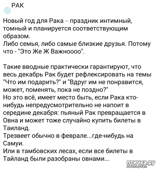 ���� 5: ��������