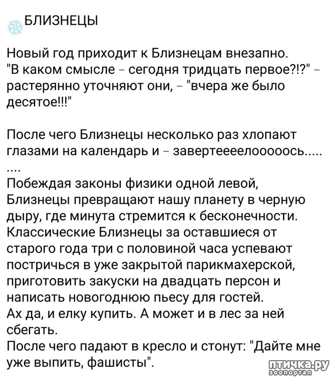 ���� 4: ��������