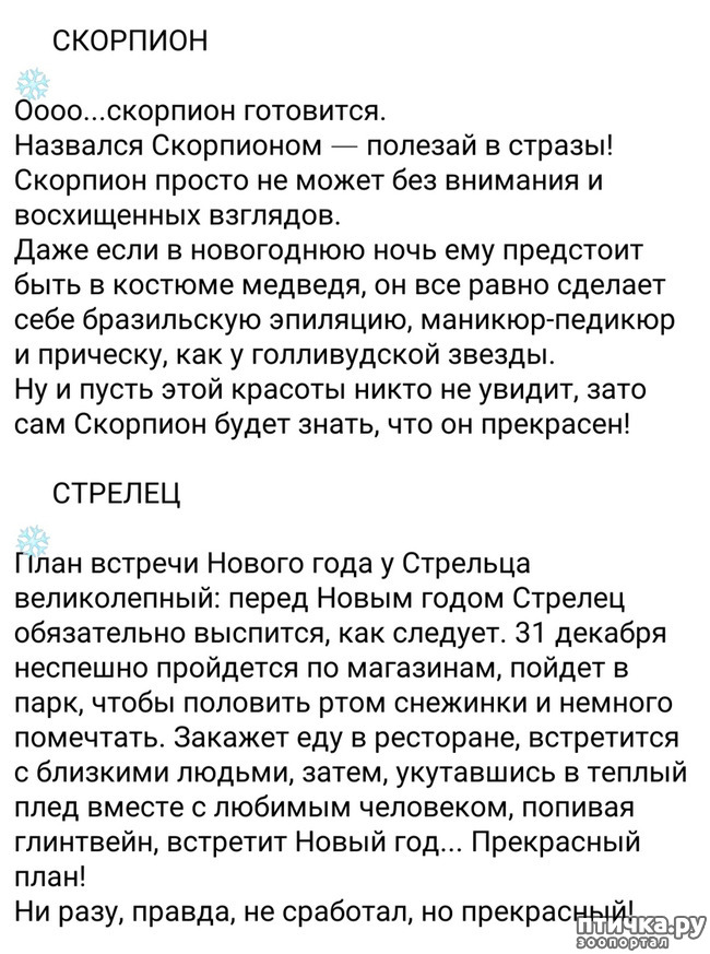 ���� 8: ��������