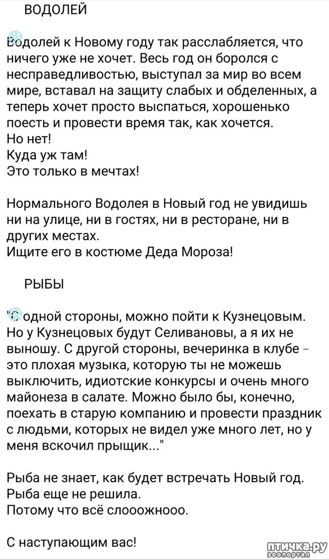 ���� 10: ��������