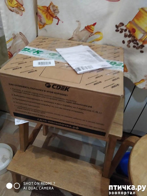 ����: ���������-����������� ����!