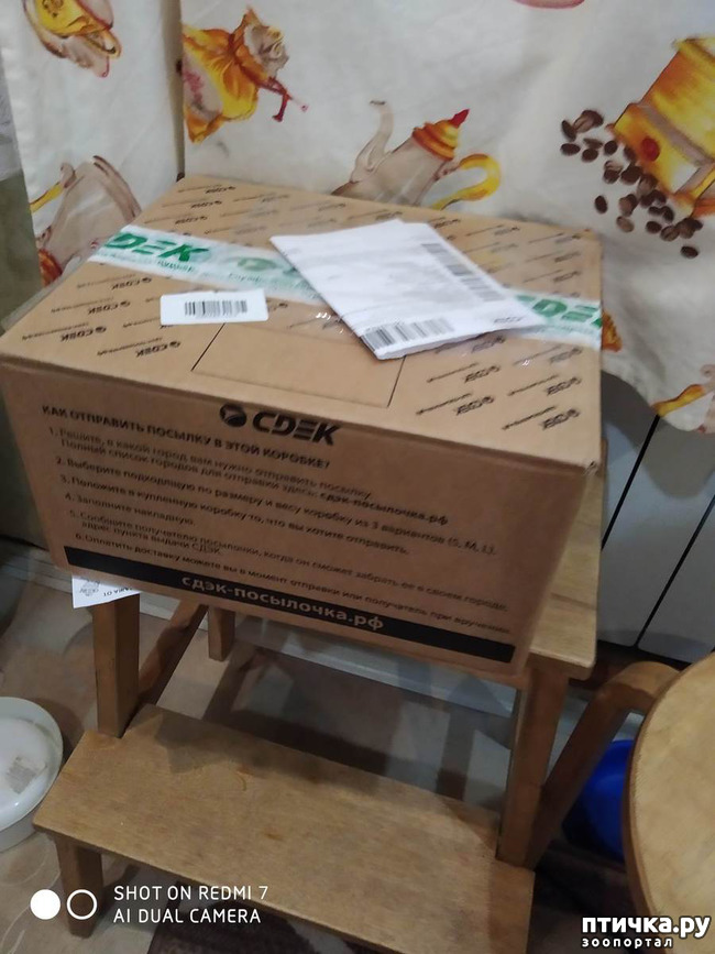 ���� 1: ���������-����������� ����!