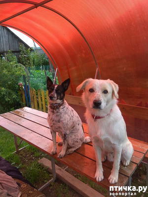 ����: ���� ������� � ������ (������) 2 ���� � 6 ���