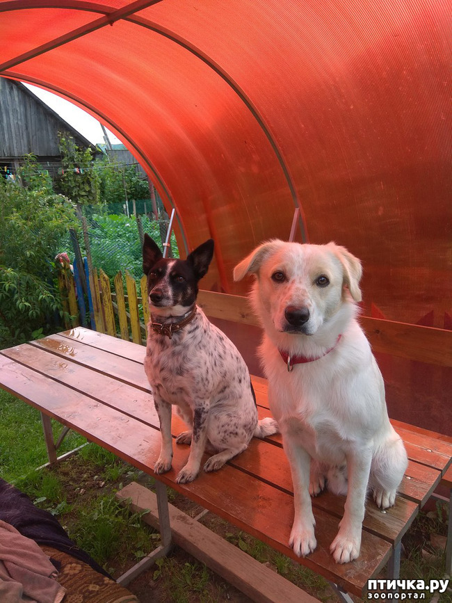 ���� 1: ���� ������� � ������ (������) 2 ���� � 6 ���