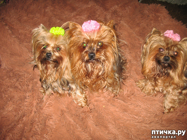 ���� 4: ������� �� �������������� ��������� �� �������������� � �������������� ���������!