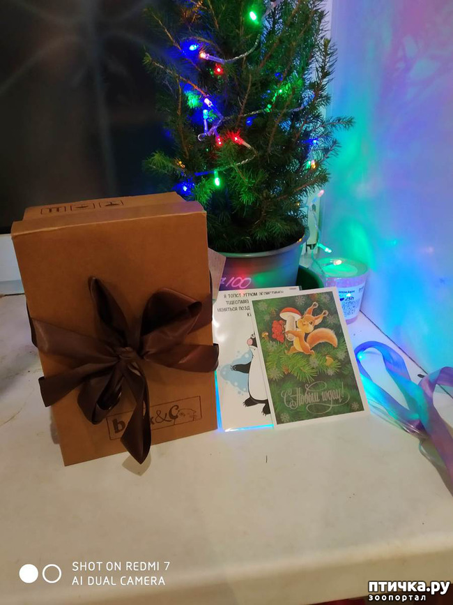 ���� 3: ���������-����������� ����!