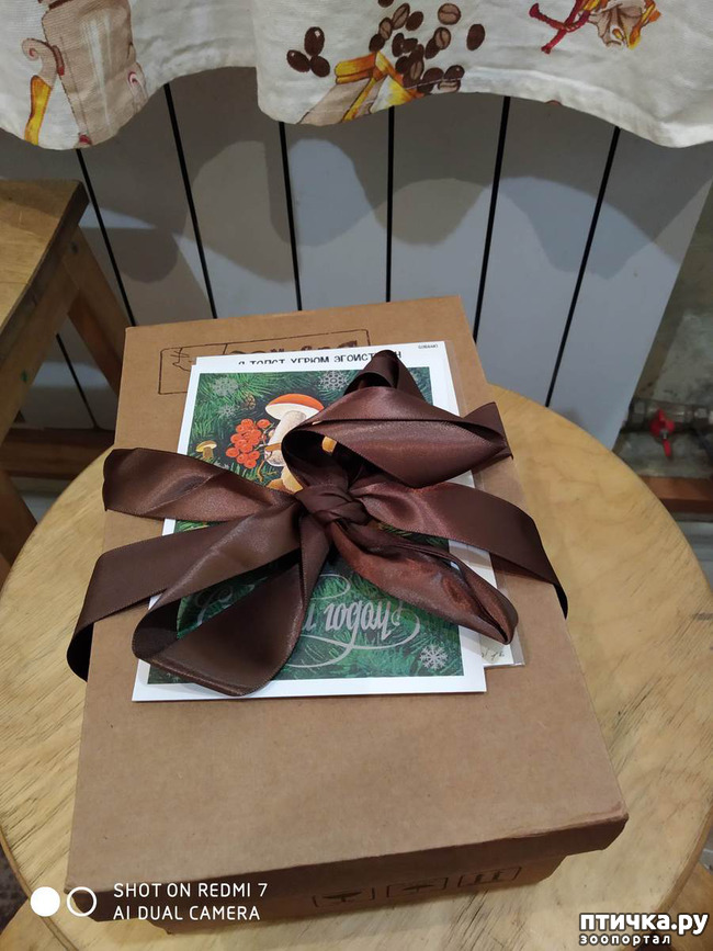 ���� 2: ���������-����������� ����!