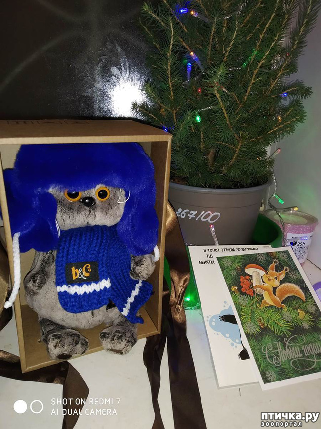 ���� 5: ���������-����������� ����!