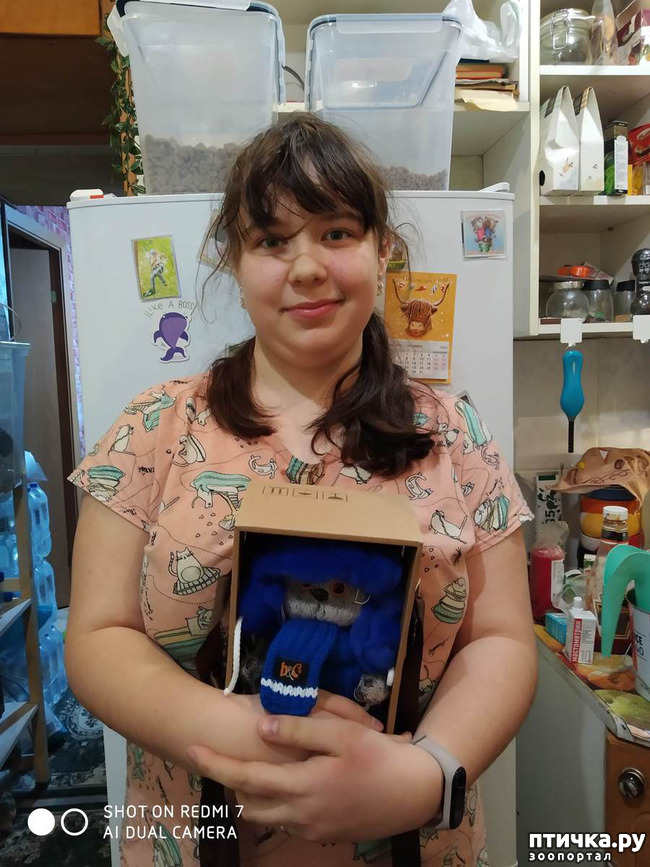 ���� 6: ���������-����������� ����!