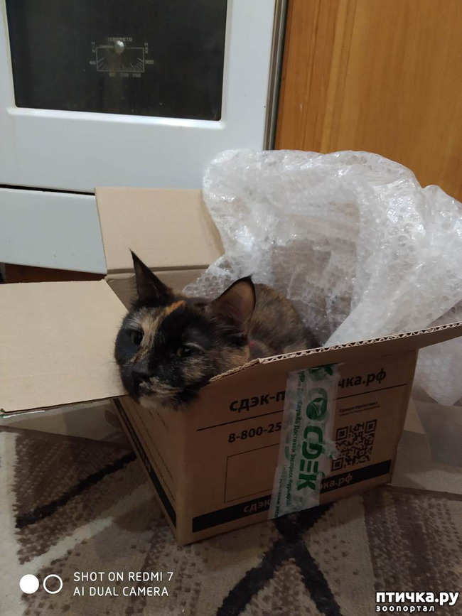 ���� 7: ���������-����������� ����!