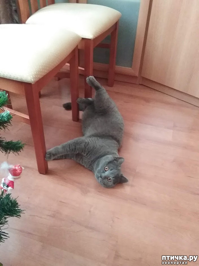 ���� 9: ���� � ����