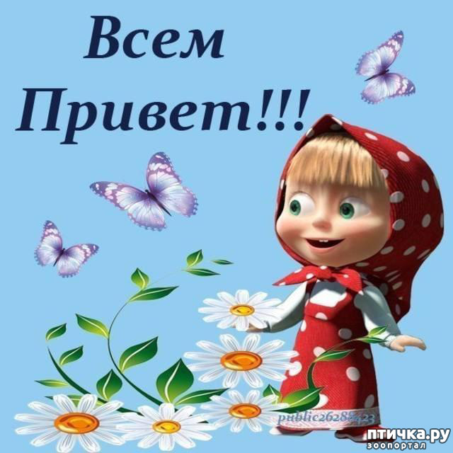 ���� 1: � ��� � ����