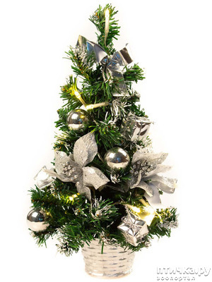 ����: ���� � ����