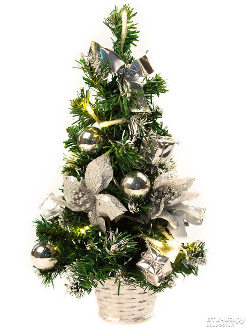 ���� 1: ���� � ����