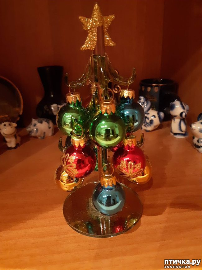 ���� 5: ���� � ����