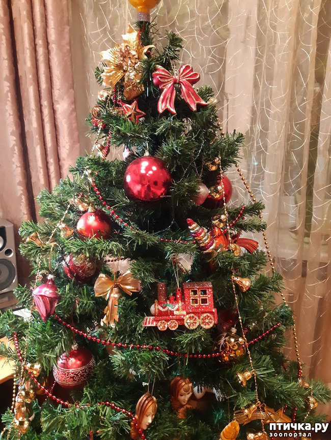 ���� 6: ���� � ����