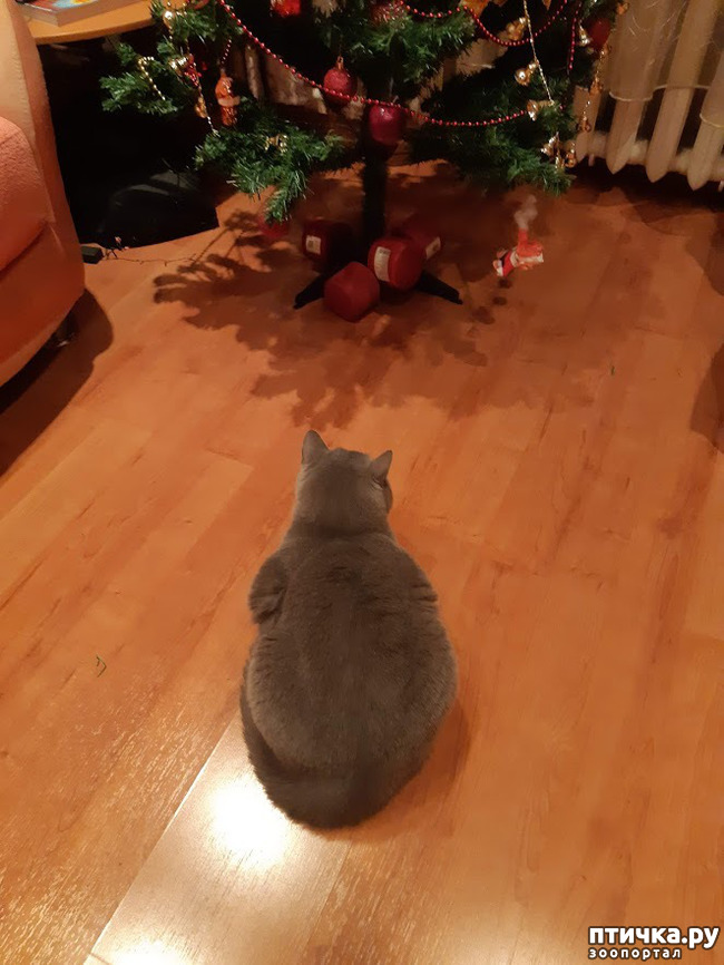 ���� 8: ���� � ����