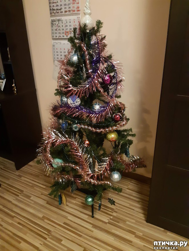 ���� 10: ���� � ����