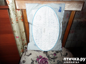 ����: ��� � � ���� ������ ���� ������� �� ���� ������!