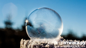 ����: ���!!! ����� �������� ��� ����������� � �� ��������� � ����!!!