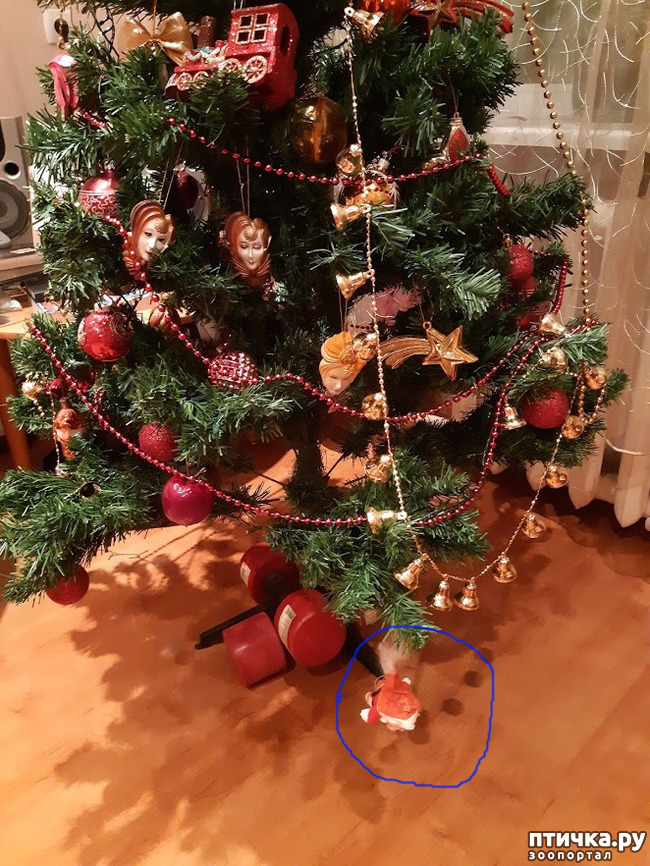 ���� 7: ���� � ����