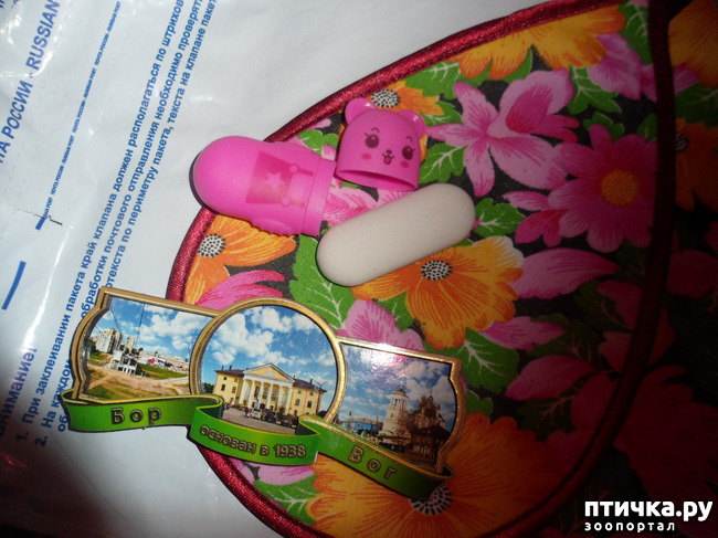 ���� 3: ��� � � ���� ������ ���� ������� �� ���� ������!