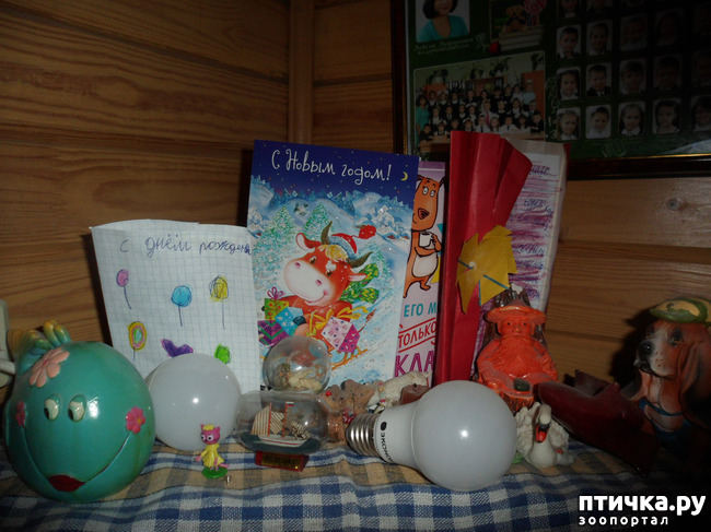 ���� 6: ��� � � ���� ������ ���� ������� �� ���� ������!