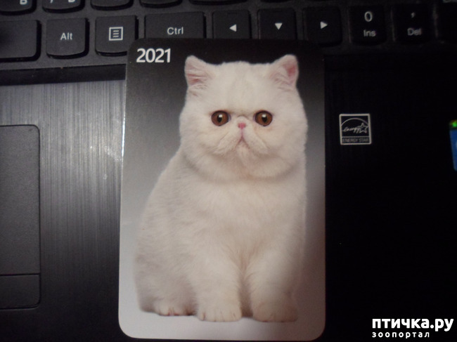 ���� 7: ��� � � ���� ������ ���� ������� �� ���� ������!