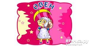 ����: ������������