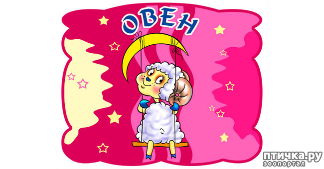 ���� 1: ������������