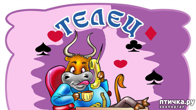 ���� 2: ������������