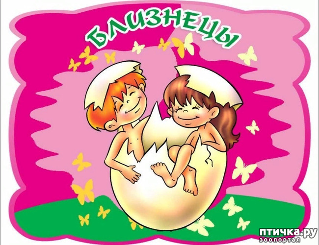 ���� 3: ������������