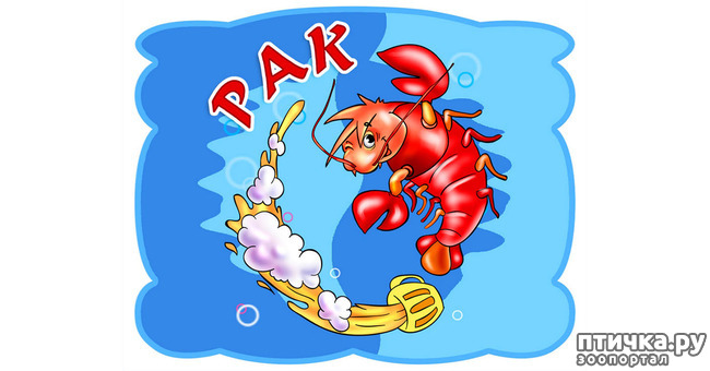 ���� 4: ������������