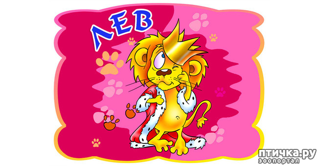 ���� 5: ������������