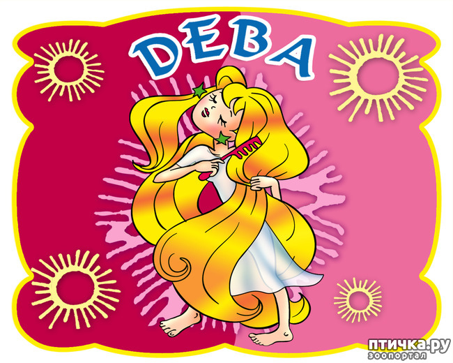 ���� 6: ������������