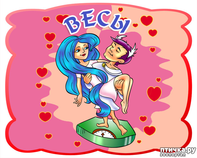 ���� 7: ������������