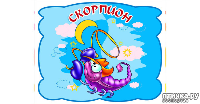 ���� 8: ������������