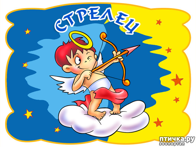 ���� 9: ������������