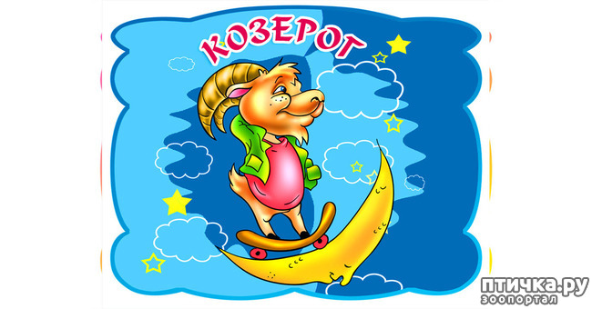 ���� 10: ������������