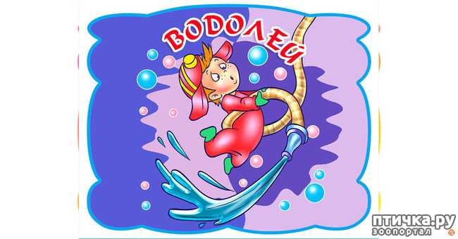 ���� 11: ������������