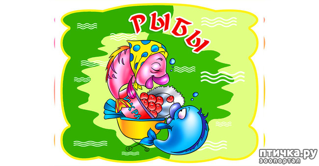 ���� 12: ������������